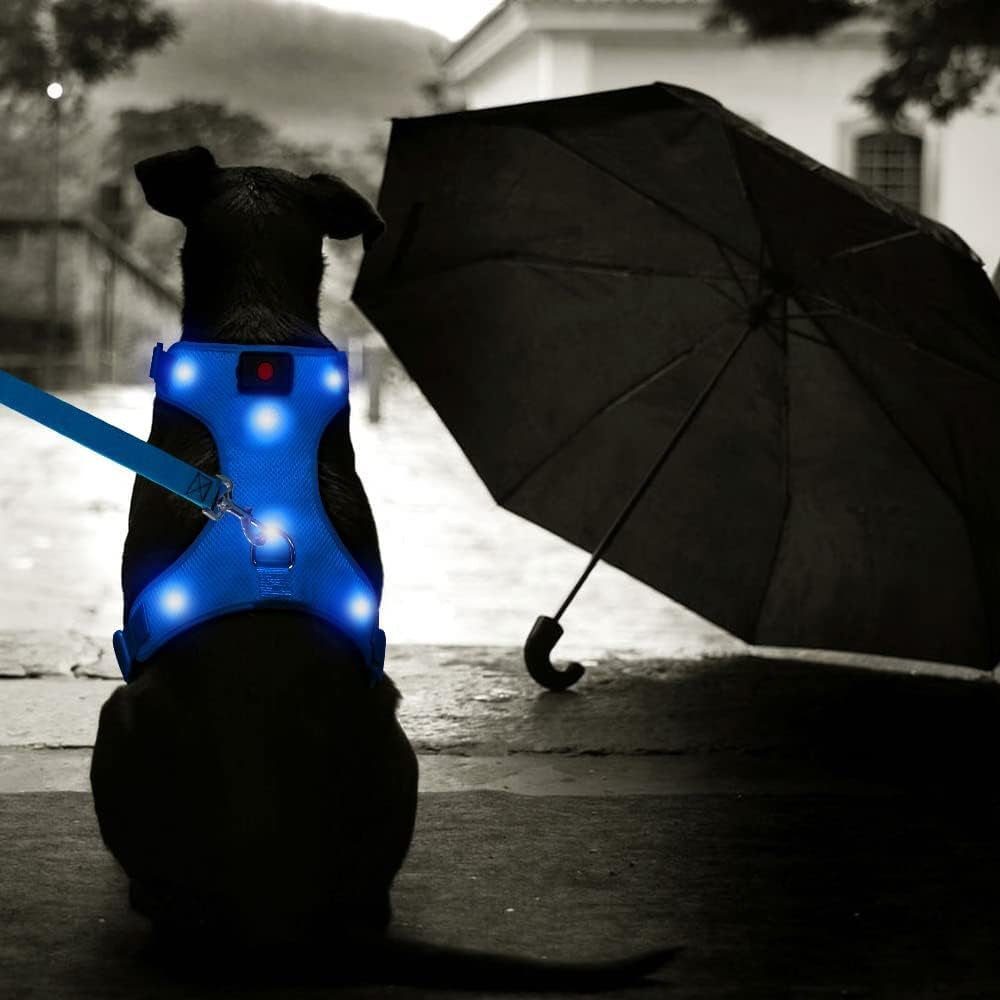 LED Dog Harness, Lighted up USB Rechargeable Pet Harness, Illuminated Reflective Glowing Dog Vest Adjustable Soft Padded No-Pull Suit for Small, Medium, Large Dogs (Blue, L)