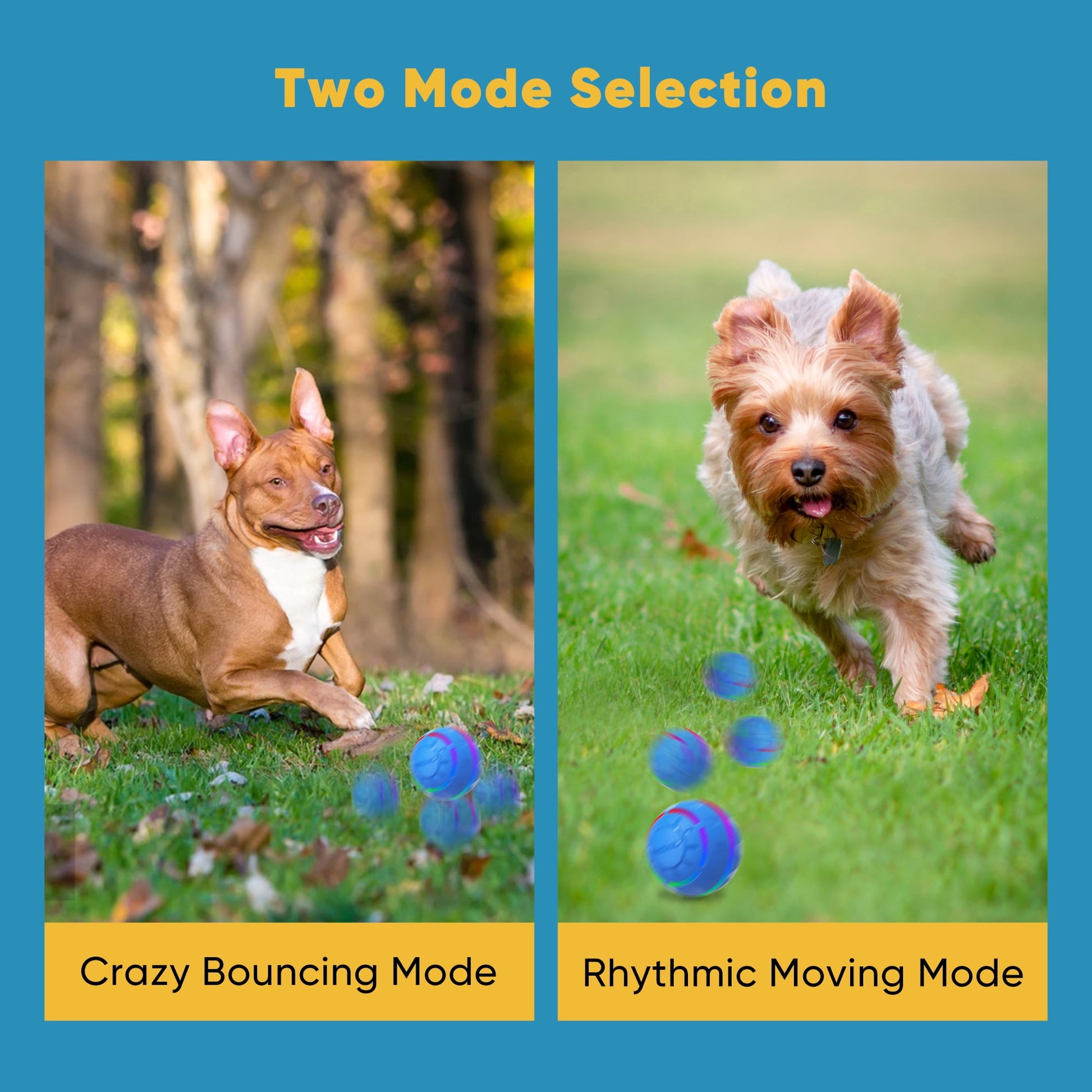 Interactive Toy Dog Ball, Active Rolling Ball for Dogs with Flashing LED Light, Moving Bouncing Toy Ball